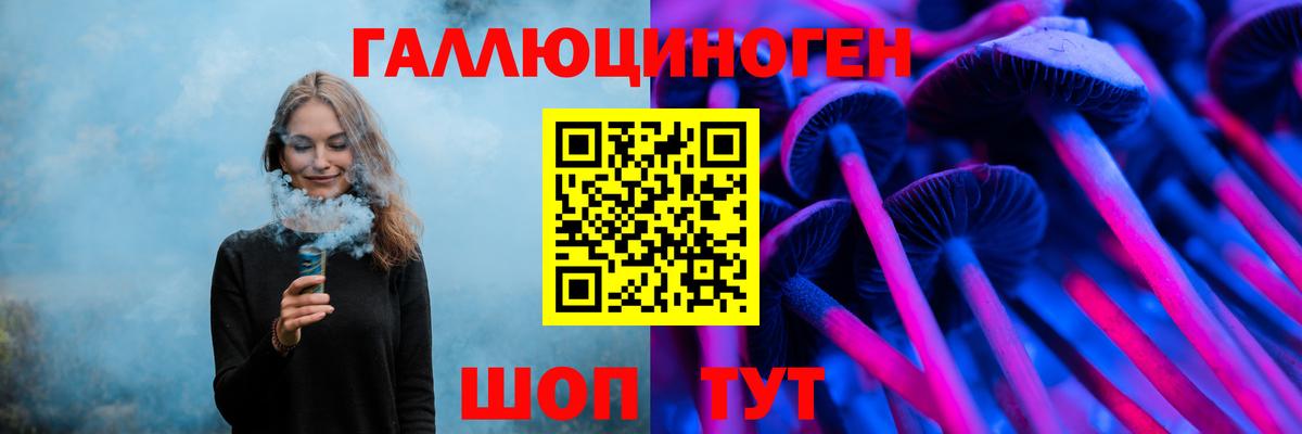 Щёлково  Галлюциногенные грибы GOLDEN TEACHER  наркотики  Вход с VPN 